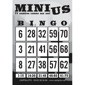 Mini US partie speciale loto