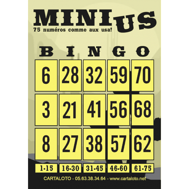 Mini bingo US