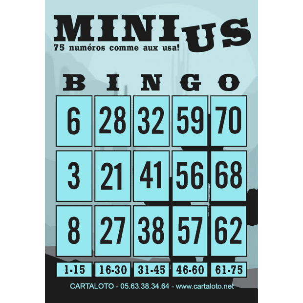 Mini bingo US