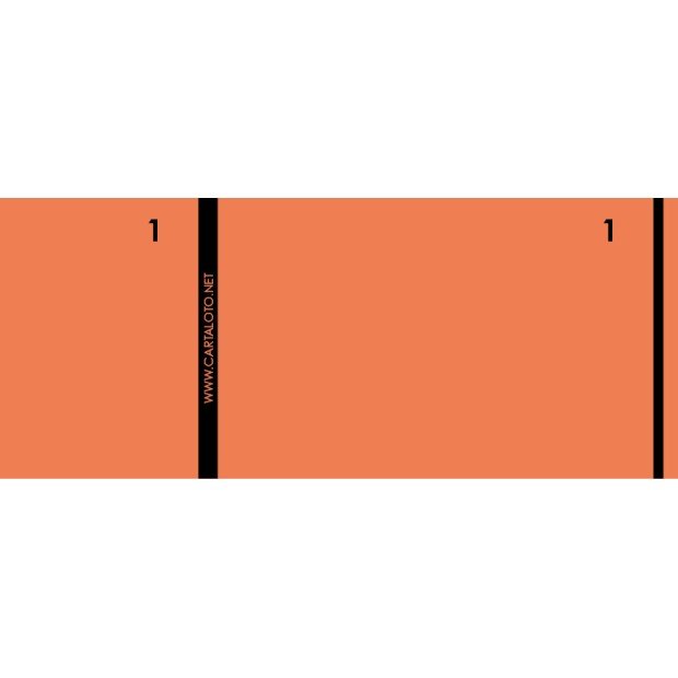 10 Booklets of 100 numbered check tickts - 2 clip parts (customisable)