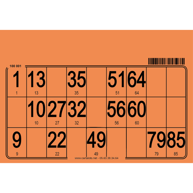 feuille loto avec une grille