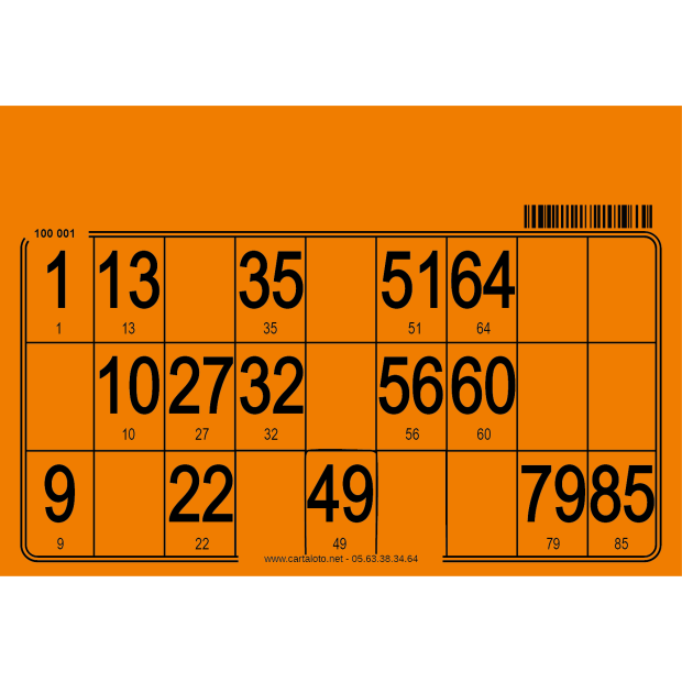 500 Cartons de loto feuille