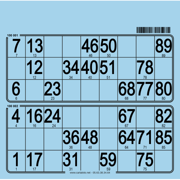 250 Paper 90 ball bingo tickets - 2 grids