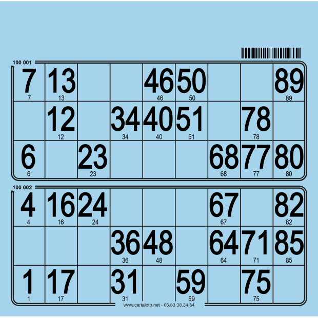 250 Planches de loto feuille - 2 grilles