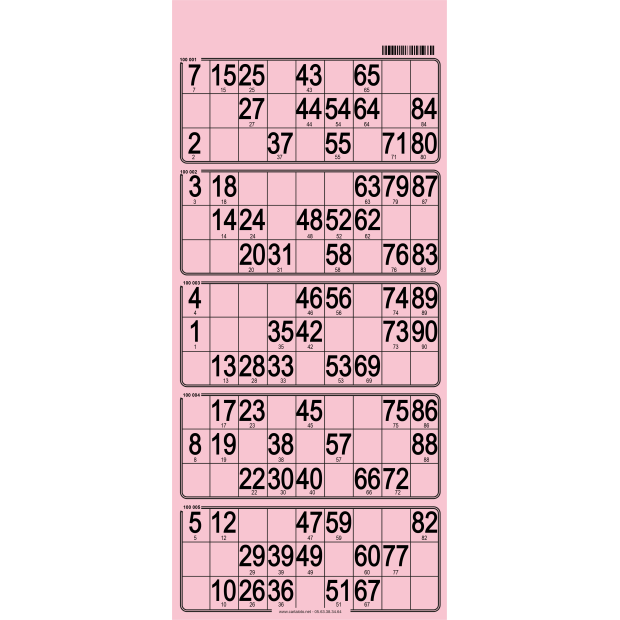 100 Planches de loto bristol - 5 grilles