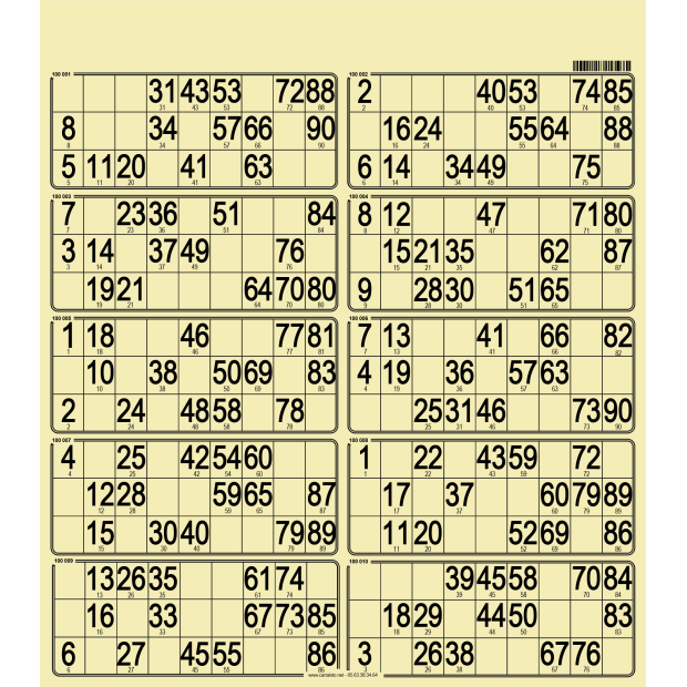 50 Planches de loto bristol - 10 grilles