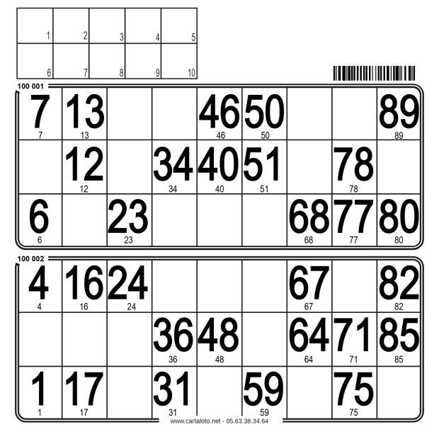 250 Paper 90 ball bingo tickets - 2 grids - to stamp