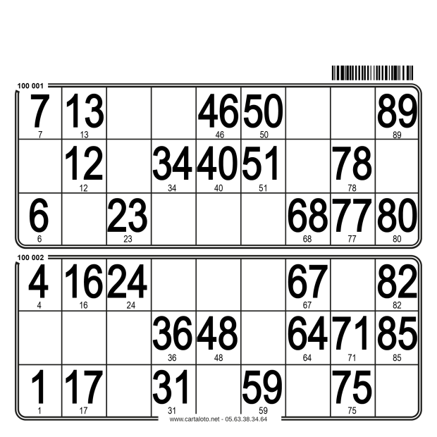 250 Hard 90 ball bingo cards - 2 grids