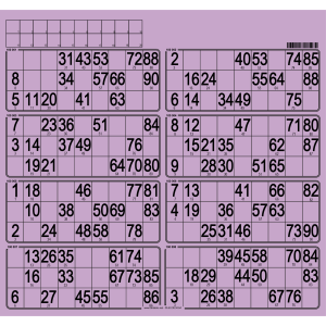 carton loto souple