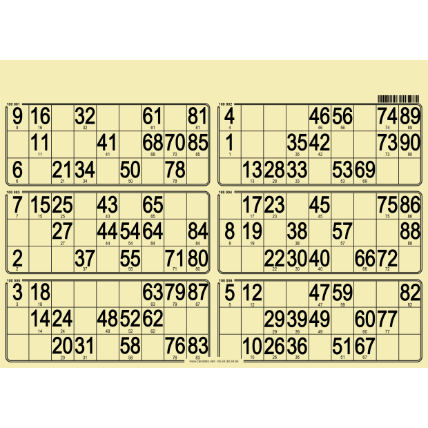 84 Planches de loto très rigide - 6 grilles