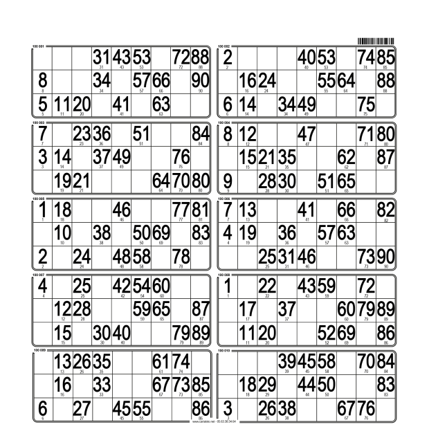 50 Planches de loto très rigide - 10 grilles