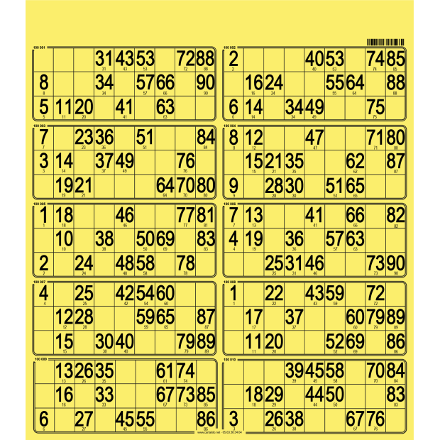 50 Planches de loto très rigide - 10 grilles