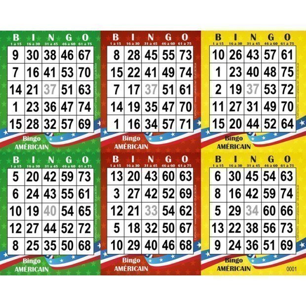 bingo jeu americain loto 6 grilles