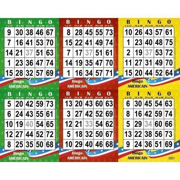 bingo jeu americain loto 6 grilles
