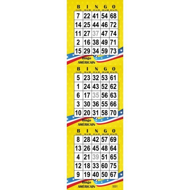 bingo jeu avec 3 grilles pour loto americain