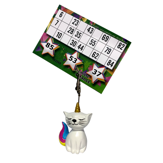 Lot de 12 porte-photos pince lotoclip