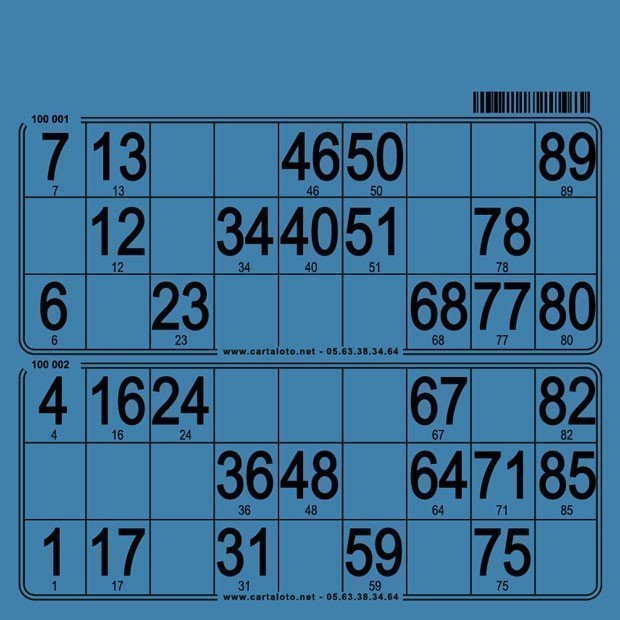 250 Bristol 90 ball bingo cards - 2 grids