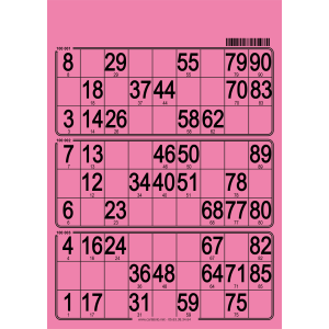 167 Planches de loto rigide - 3 grilles