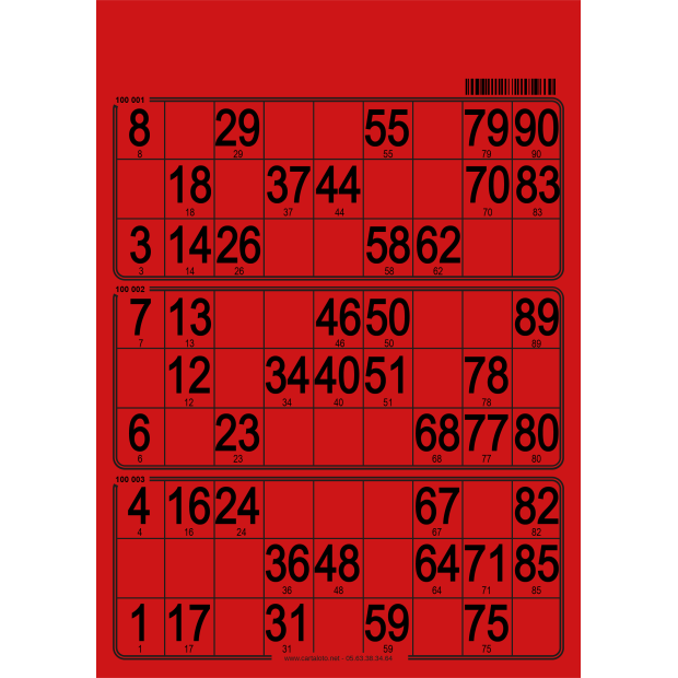 167 Planches de loto rigide - 3 grilles