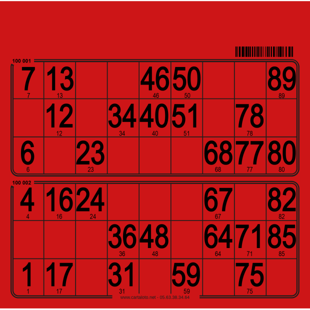 250 Planches de loto très rigide - 2 grilles