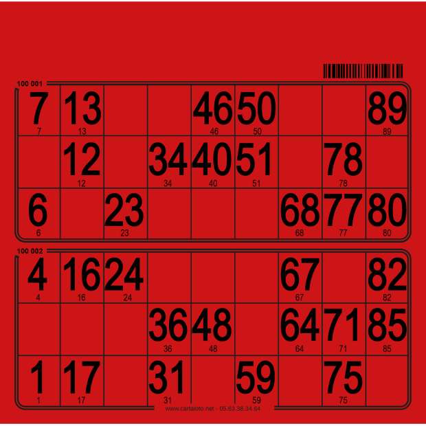 250 Thick cardboard 90 ball bingo cards - 2 grids