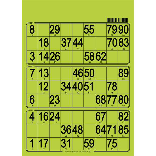 167 Planches de loto très rigide - 3 grilles