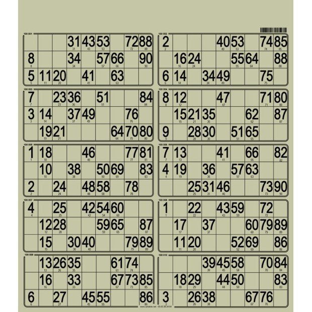 50 Planches de loto très rigide - 10 grilles