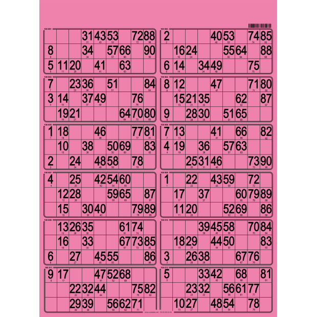 42 Planches de loto très rigide - 12 grilles