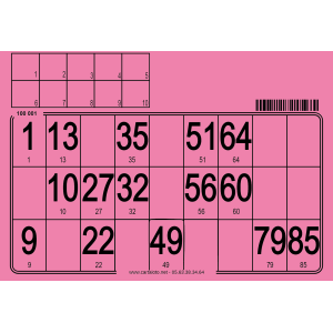 500 Thick cardboard 90 ball bingo cards - to stamp