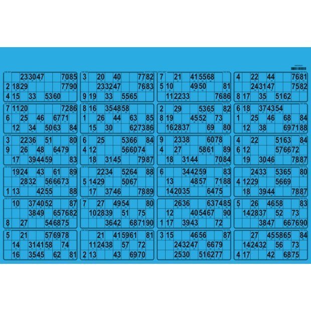 21 Planches de loto très rigide - 24 grilles