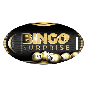 Bingo Surprise