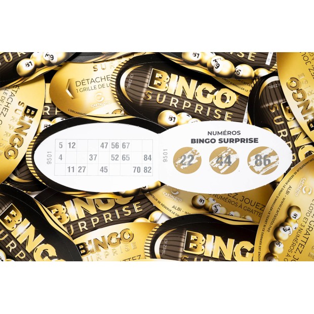 Bingo Surprise