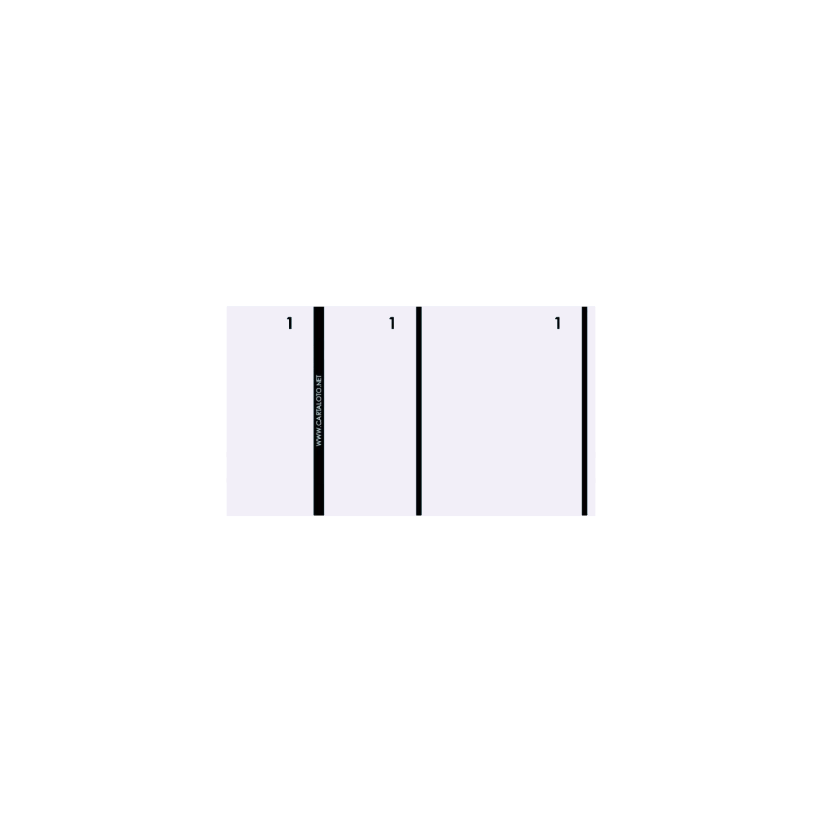 CARTALOTO 10 carnets de 100 Tickets 3 Parties