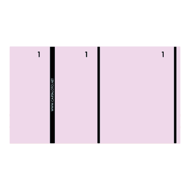 copy of 10 Booklets of 100 numbered check tickts - 2 clip parts (customisable)