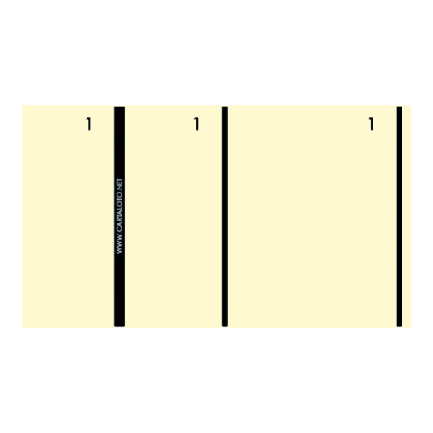 copy of 10 Booklets of 100 numbered check tickts - 2 clip parts (customisable)