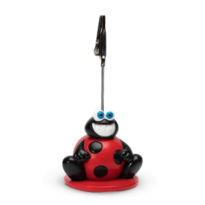 Loto clip Coccinelle - face
