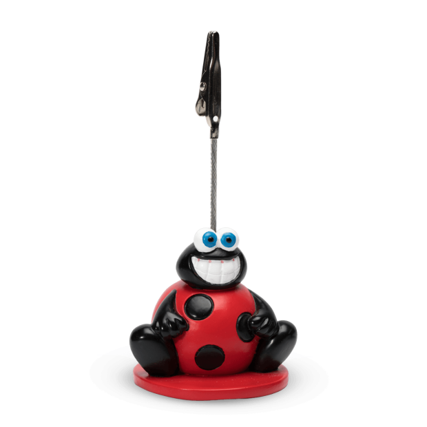 Loto clip Coccinelle - face
