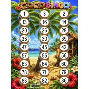 Jeu de Loto - Coco Bingo
