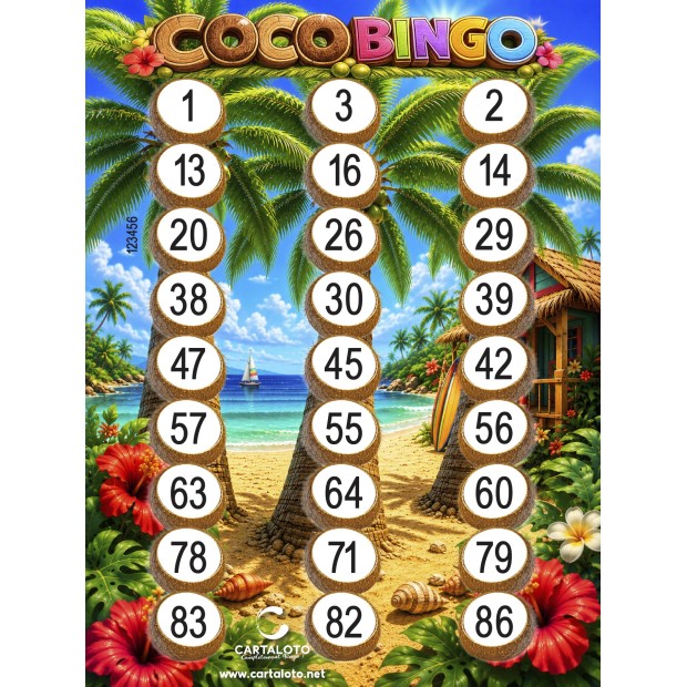 500 jeux COCO BINGO
