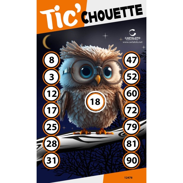 Tic'Chouette - Ticket loto porte-bonheur | Cartaloto