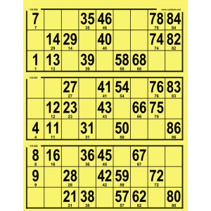 167 Large 90 ball bingo tickets - 3 grids