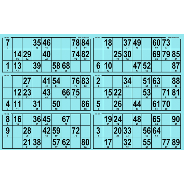 84 Planches de loto rigide - 6 grilles - grand format