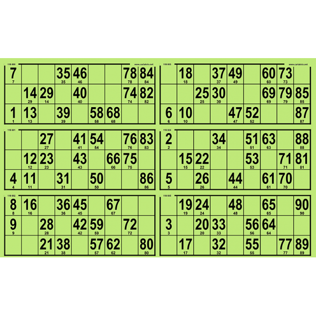 84 planches de loto très rigide - 6 grilles - grand format