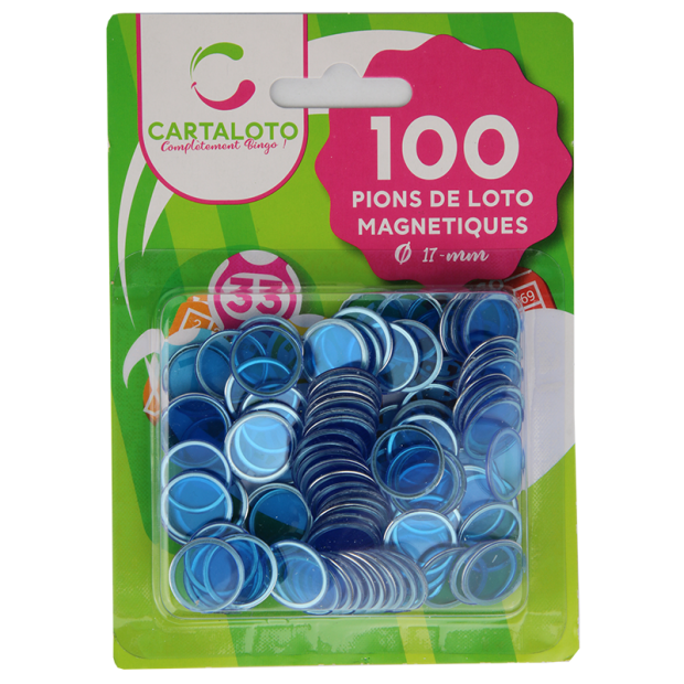 12 sachets de 100 pions magnétiques