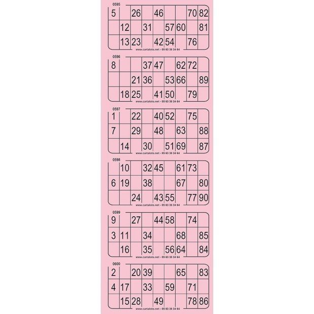 Piccolo bingo tickets - 6 grids
