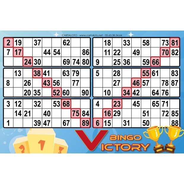 Bingo victory
