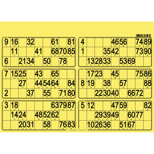 84 Planches de loto de 6 grilles I Feuilles de loto personnalisables