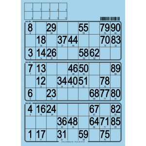 96 Cartons loto rigide - cartes standard pour association organisations de  loto.