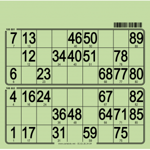 250 Bristol 90 ball bingo cards - 2 grids