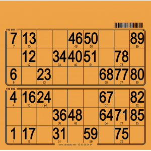 250 Thick cardboard 90 ball bingo cards - 2 grids